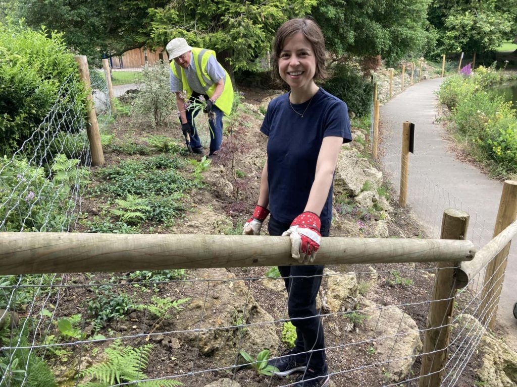 Green space volunteering at Pittville Park featured image