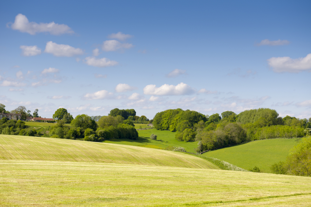 A guide to jointly owned property in the rural sector featured image