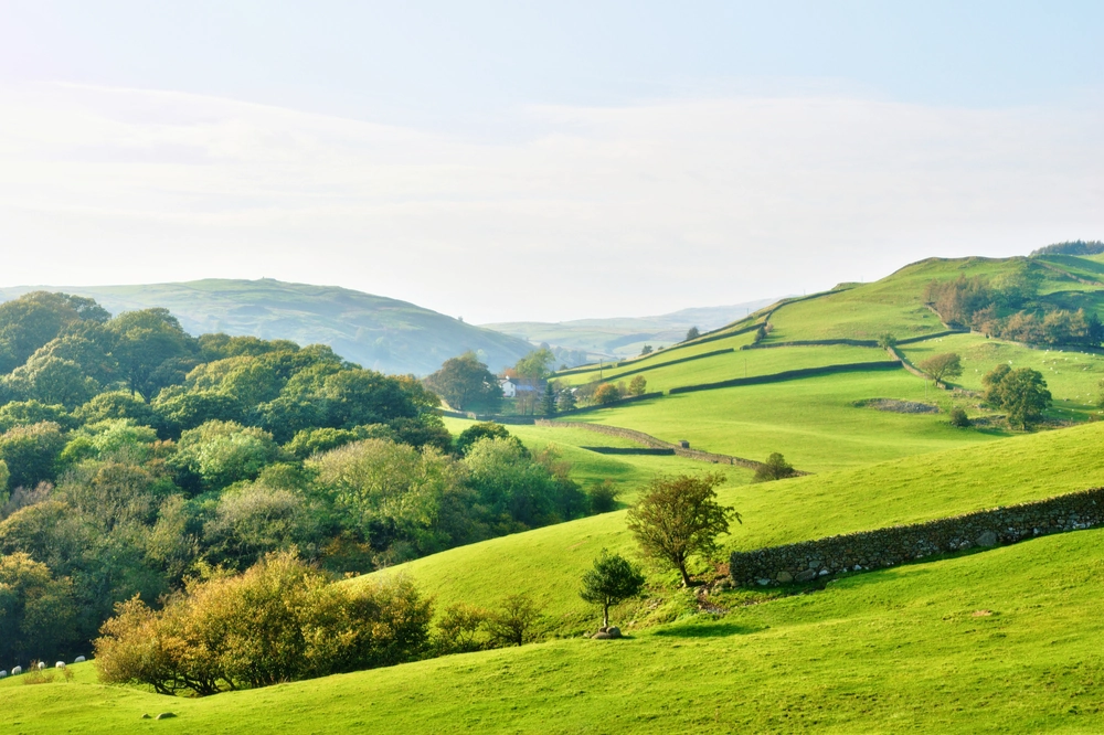 How new entrants are being encouraged into farming and what’s available to help featured image