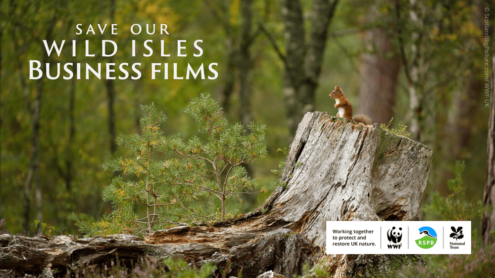 Save Our Wild Isles: Business of Nature Screening featured image