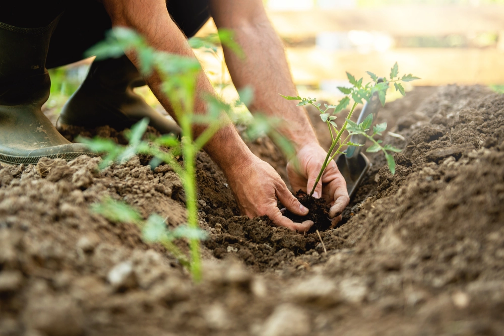 The new Agricultural Landlord and Tenant Code of Practice: what will it cover and how will it help? featured image