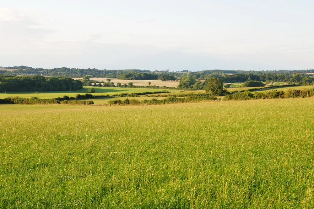 Compulsory Purchase Order (CPO) Reforms – What rural landowners need to know featured image