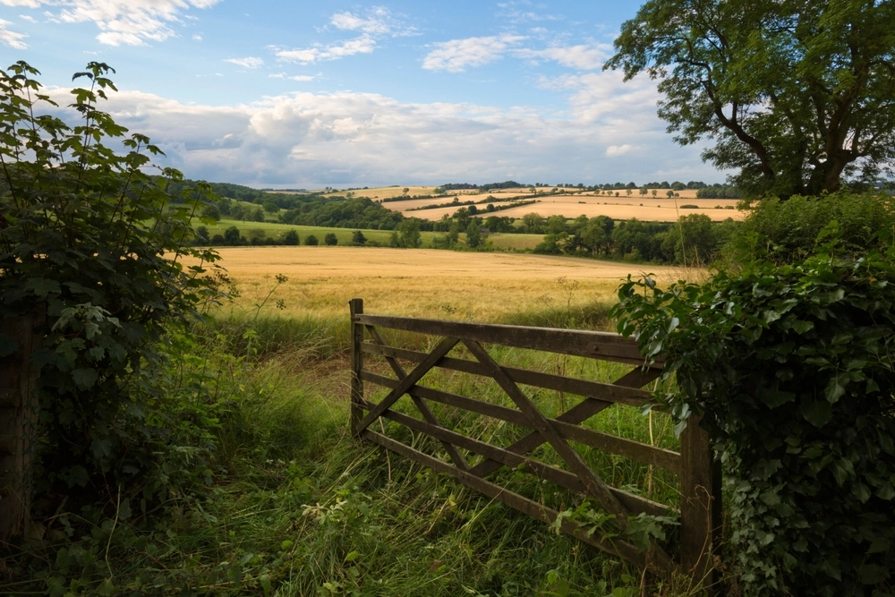 Implications of the Arbitration Act 2025 for rural landowners and tenants featured image