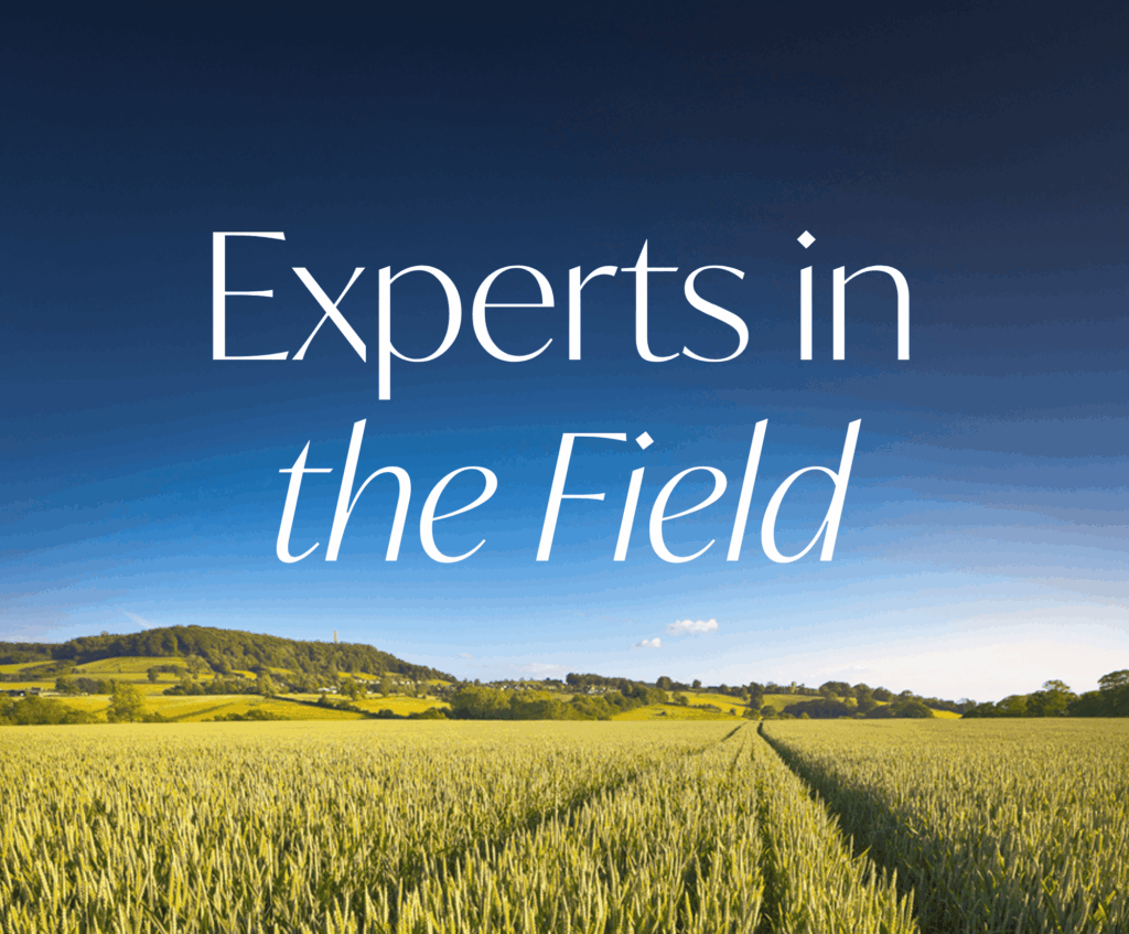 Ep. 33: The Planning and Infrastructure Bill – how it will impact rural landowners featured image