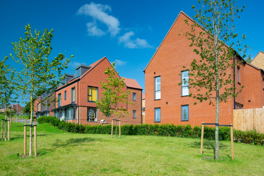 New build houses with newly planted trees.